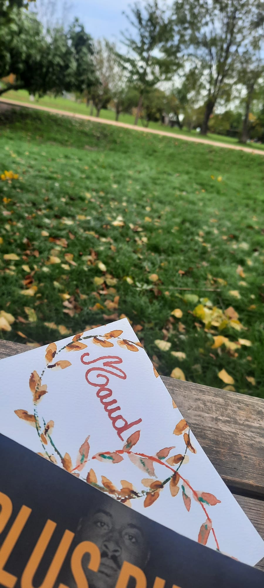 WhatsApp Image 2025-10-19 at 16.55.37