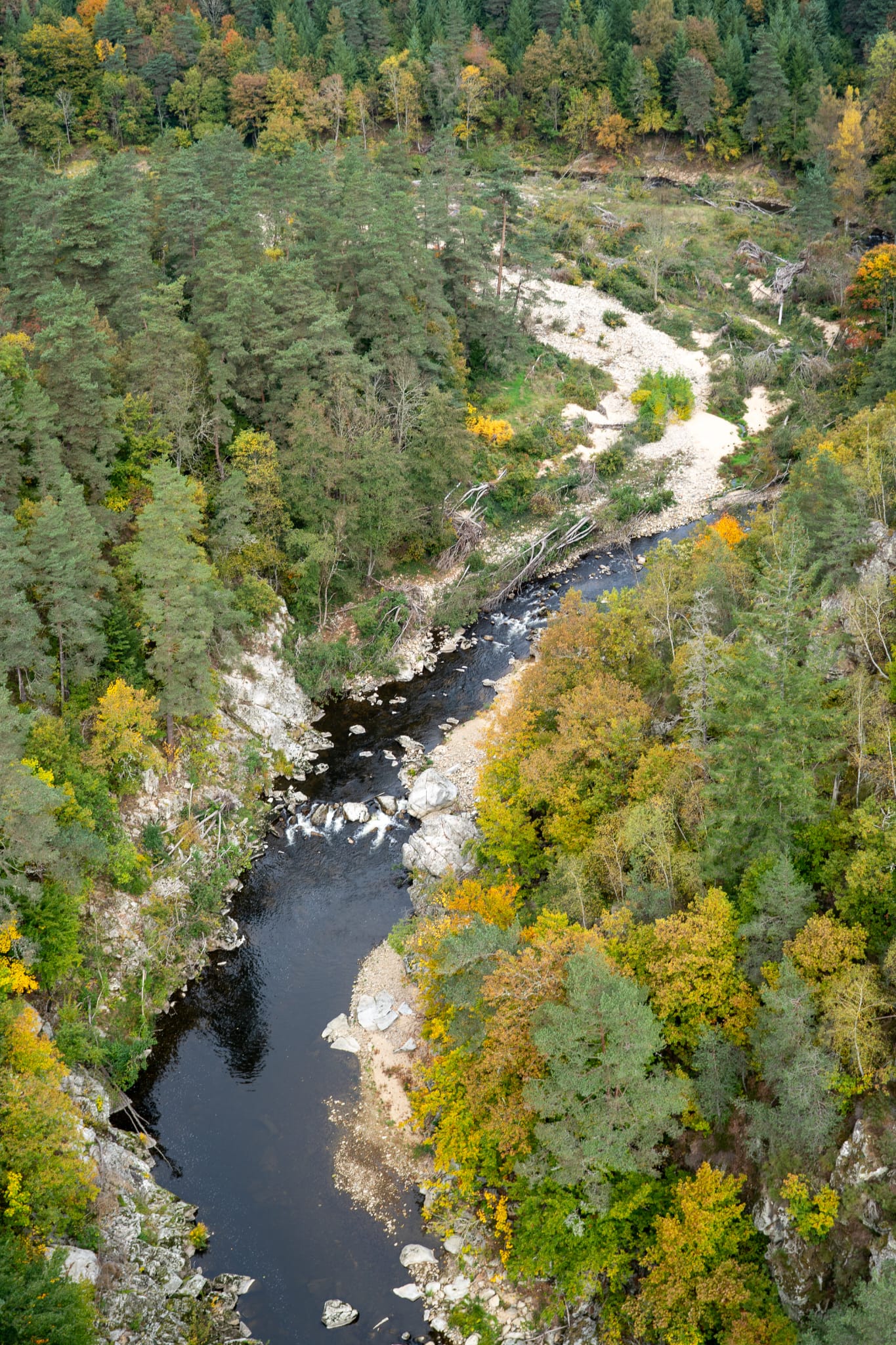 RETOUR EN IMAGE SUR UNE SI DOUCE PARENTHÈSE